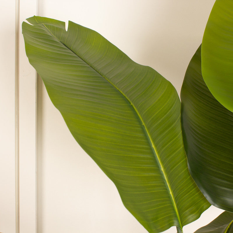 180cm Real Touch Banana Tree